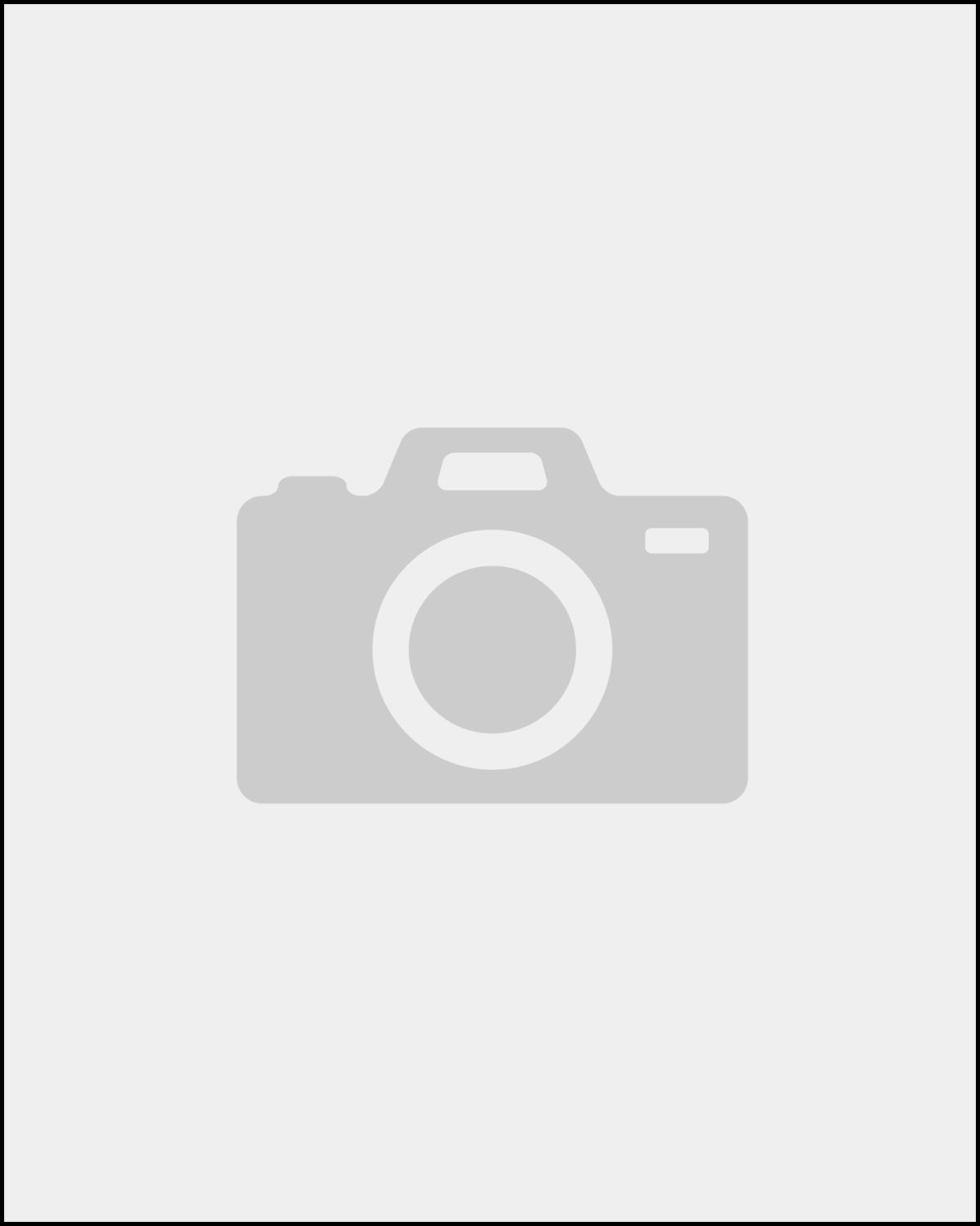 Chief Scientist and Associate Director for Research and Methodology
