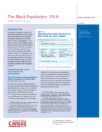 The Black Population: 2010