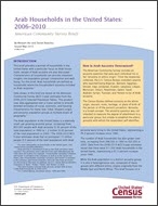 Arab Households in the United States: 2006-2010