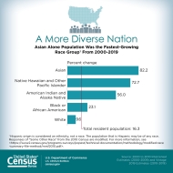 A More Diverse Nation