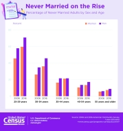 Never Married on the Rise