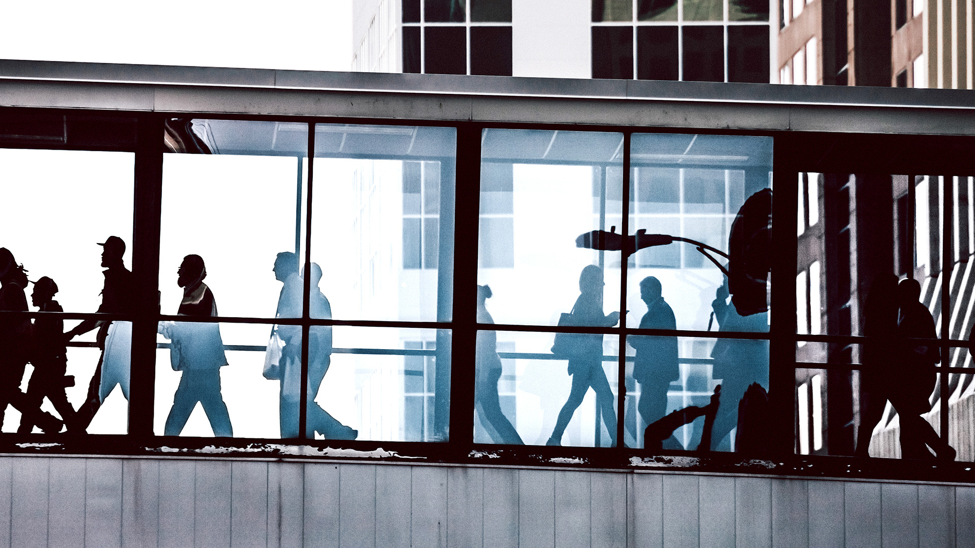 Effects of the COVID-19 Pandemic on Private and Public Employment 