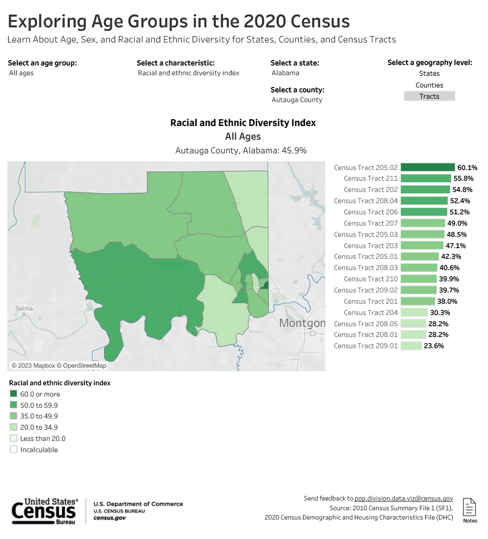 Exploring Age Groups in the 2020 Census