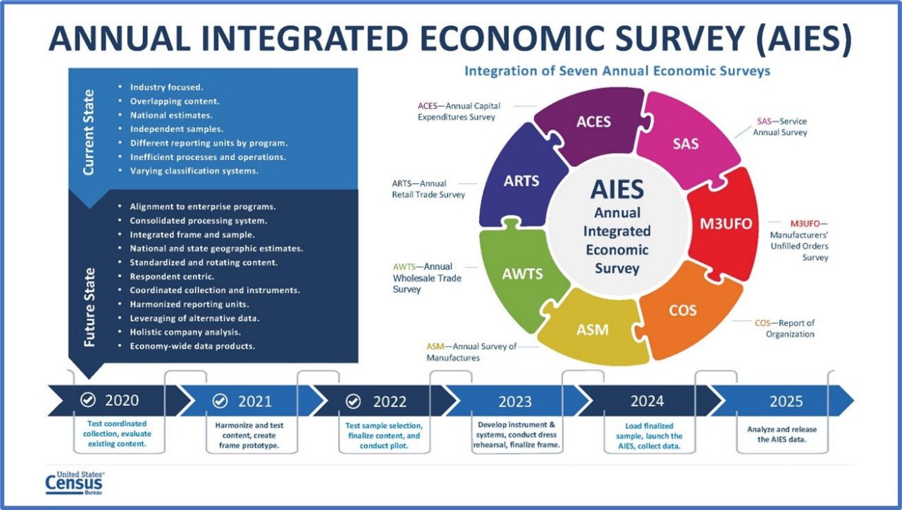 Annual Integrated Economic Survey (AIES)