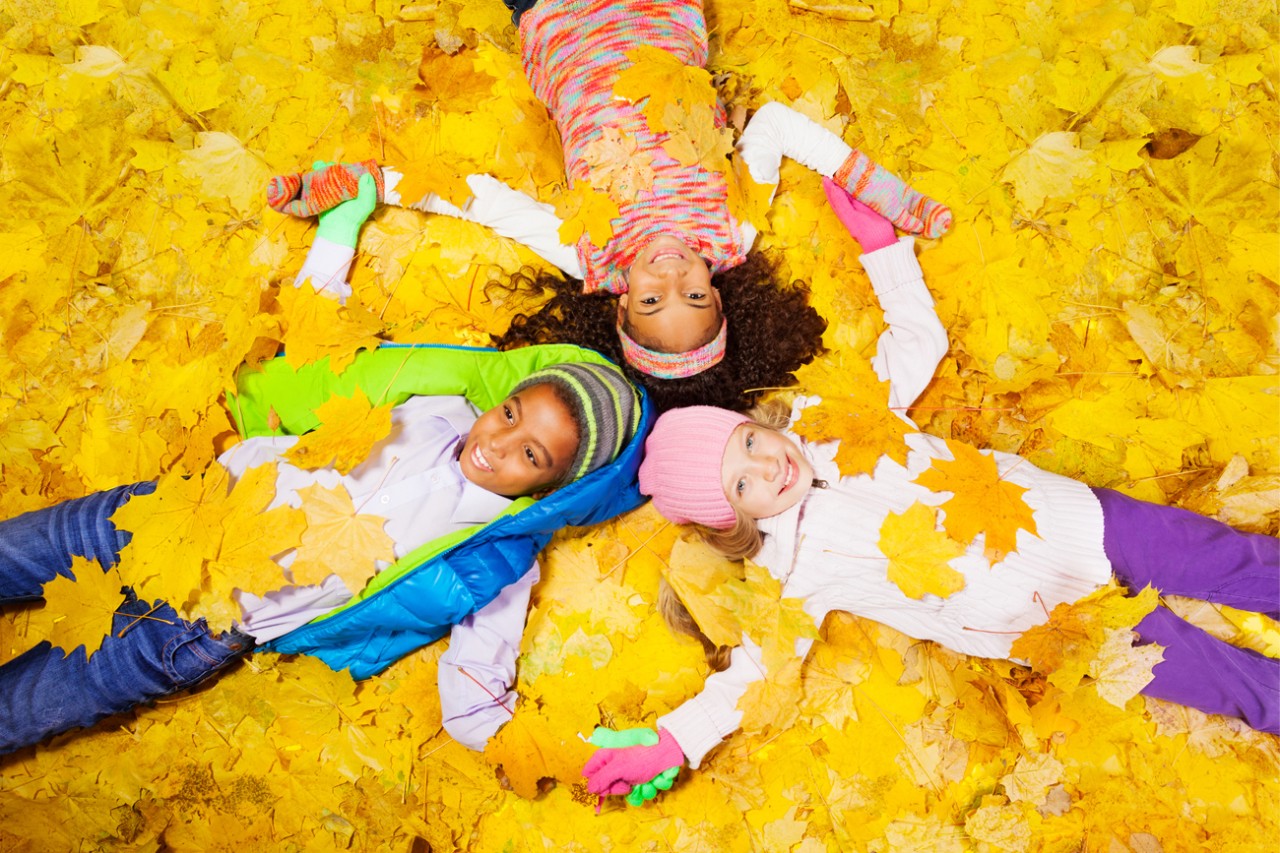 Photo: Children playing in Fall leaves