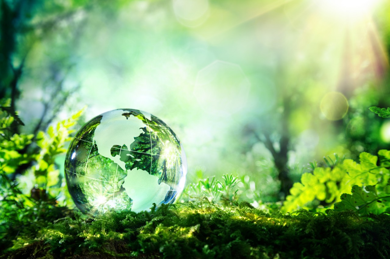 Photo:  Earth Day